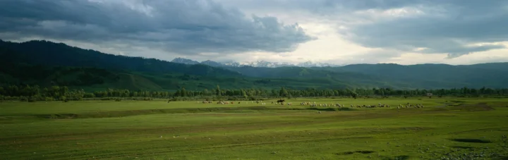 阴云笼罩的山脉与开阔草原构成宁静的自然风景。
