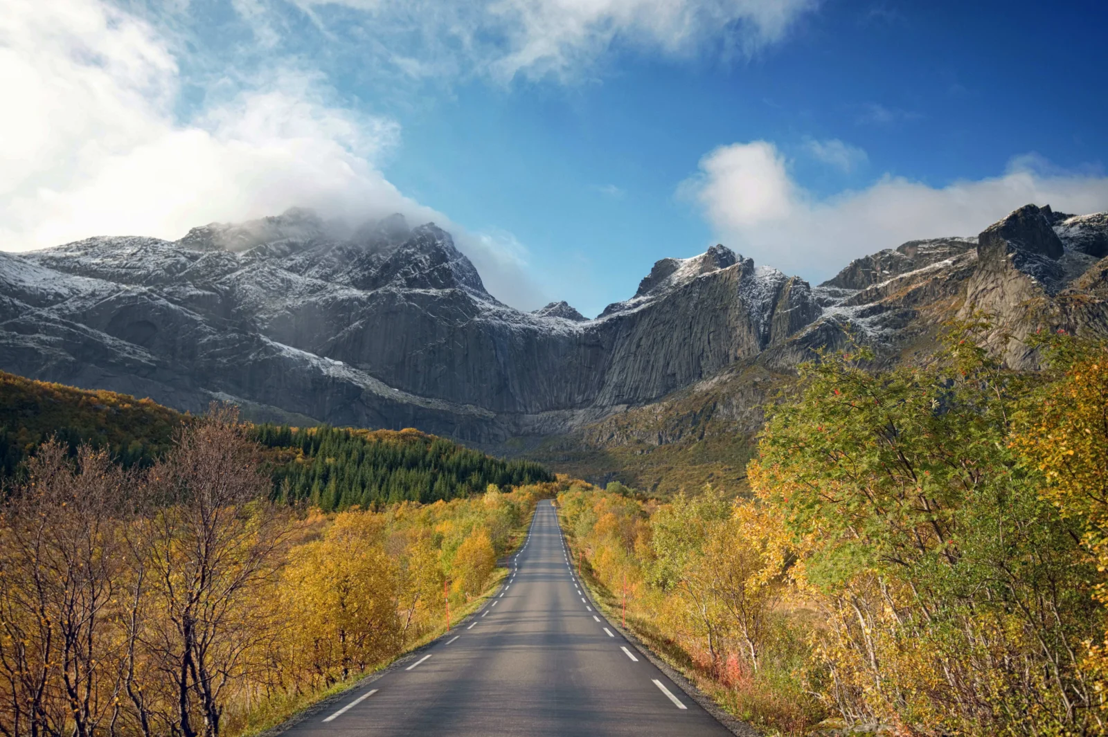 一条公路穿过金色秋林，通向云雾缭绕的雪山。