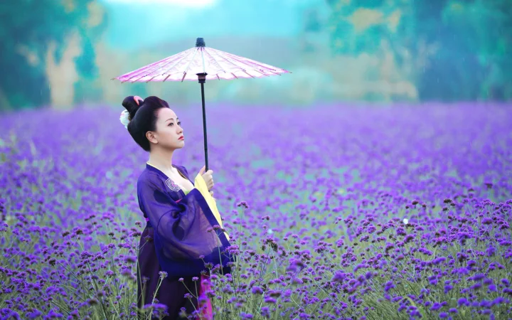 一名身穿紫色服装的女子撑着伞站在盛开的紫色花田中。