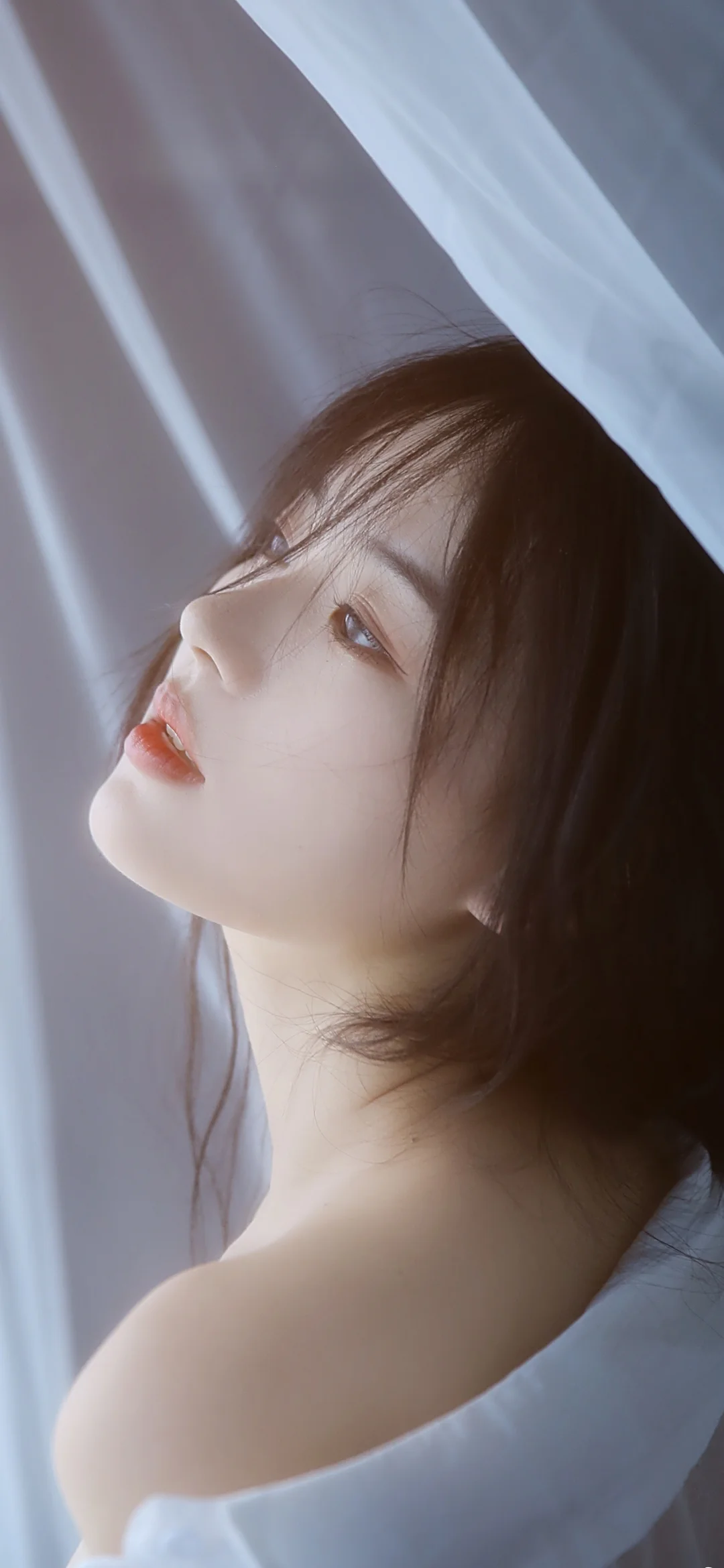 갈색 긴 머리의 여성이 창가에서 부드러운 차가운 빛을 받고 있다.