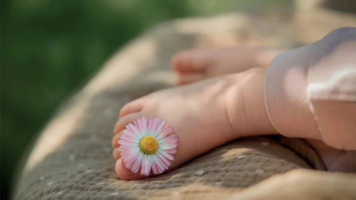 画面中一双赤脚 resting on soft fabric, with a pink daisy placed on one toe.