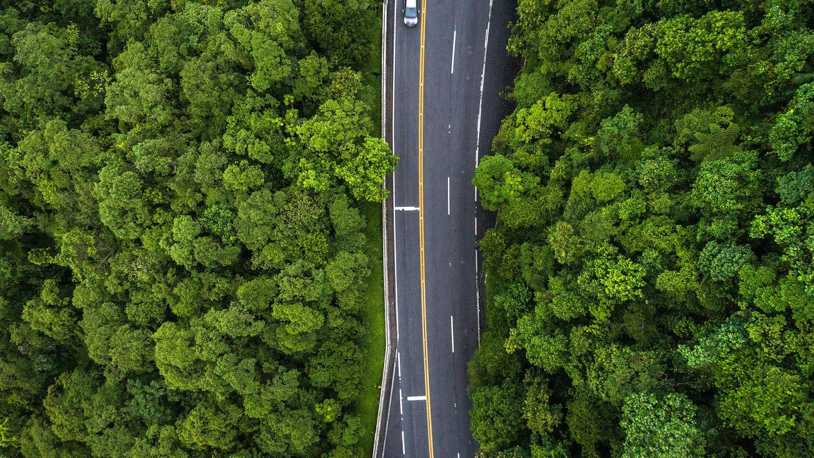 俯拍视角下，一条公路穿过茂密的绿色森林。