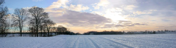 夕阳映照下，积雪覆盖的开阔田野延伸至远处的树木与地平线。