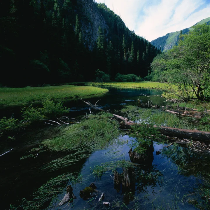 山谷中的森林、草地与清澈溪流构成宁静的自然风景。