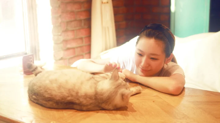 一只猫趴在木桌上，旁边一名女子俯身看着它。