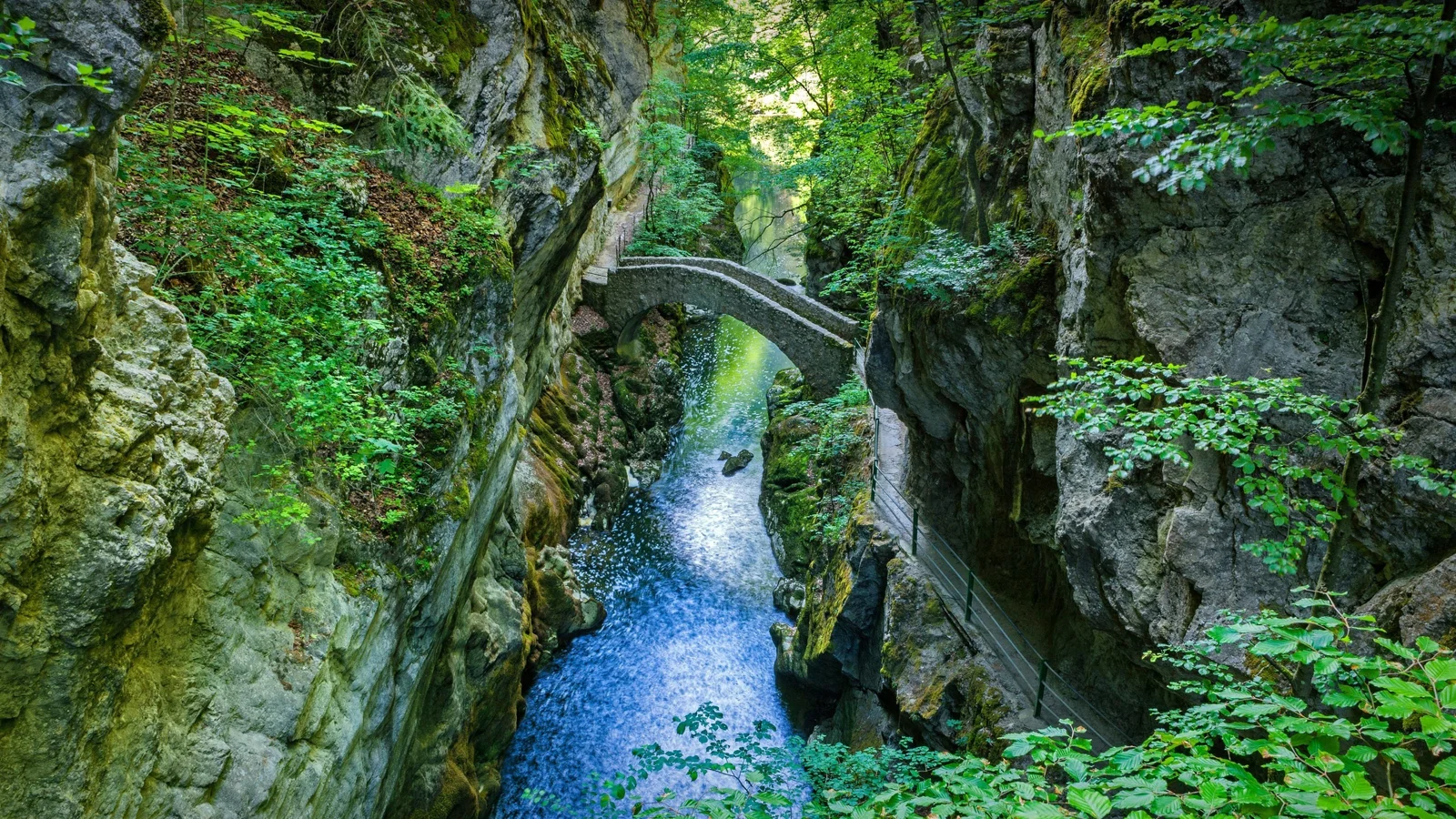 茂密森林覆盖的峡谷中，一座石拱桥横跨清澈溪流。