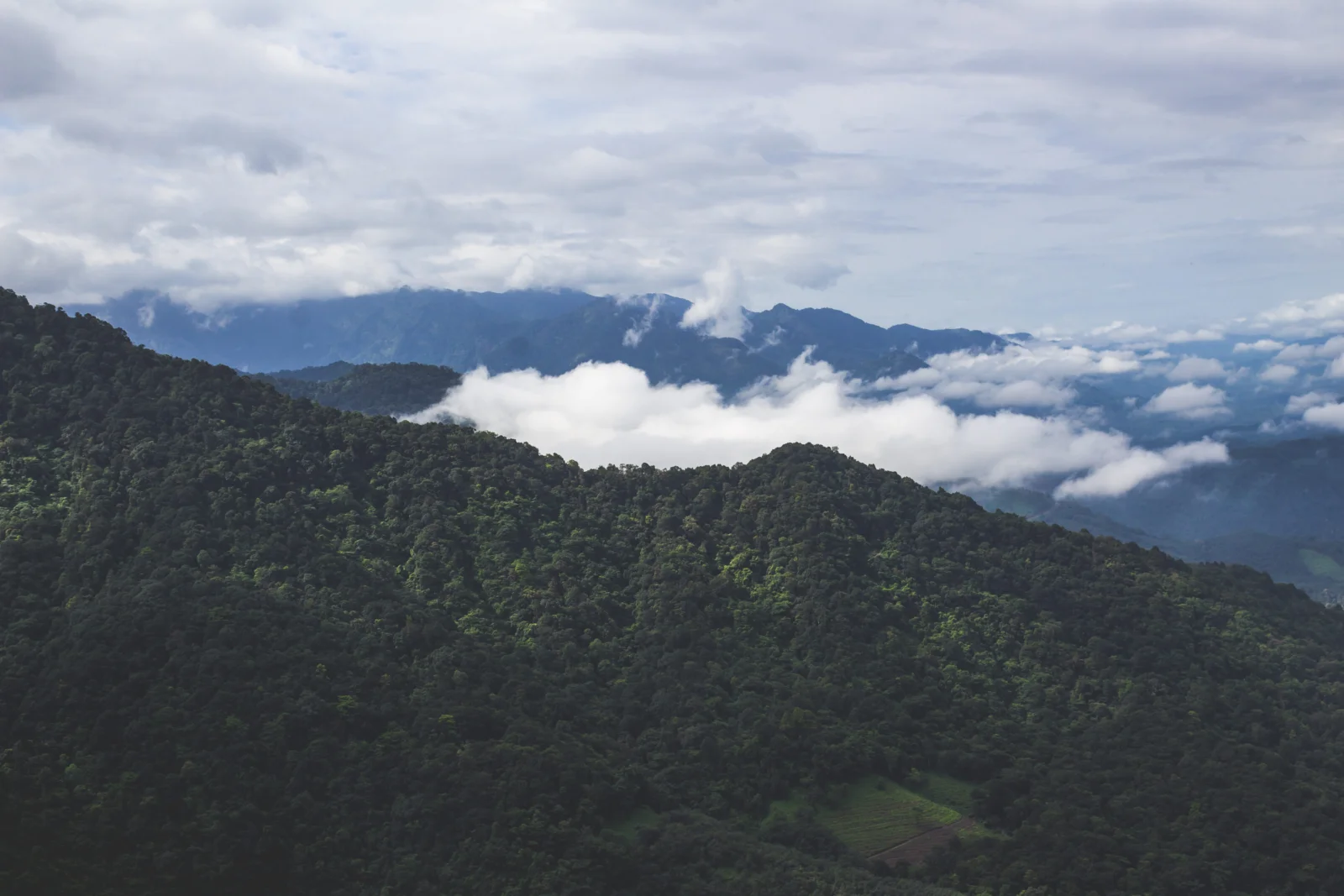 层叠的森林山脉被云雾环绕，天空覆盖着厚重的云层。