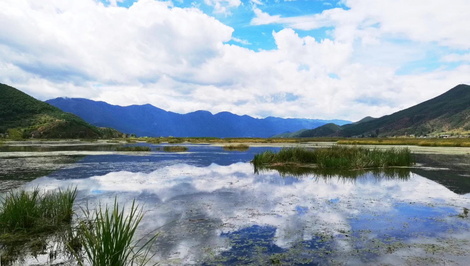 湖面倒映着蓝天白云，远处群山环绕，前景生长着大片水草。