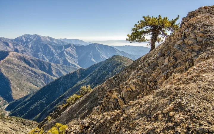 阳光照耀下的层叠山脉、岩石山脊与一棵孤松构成壮丽的自然景观。