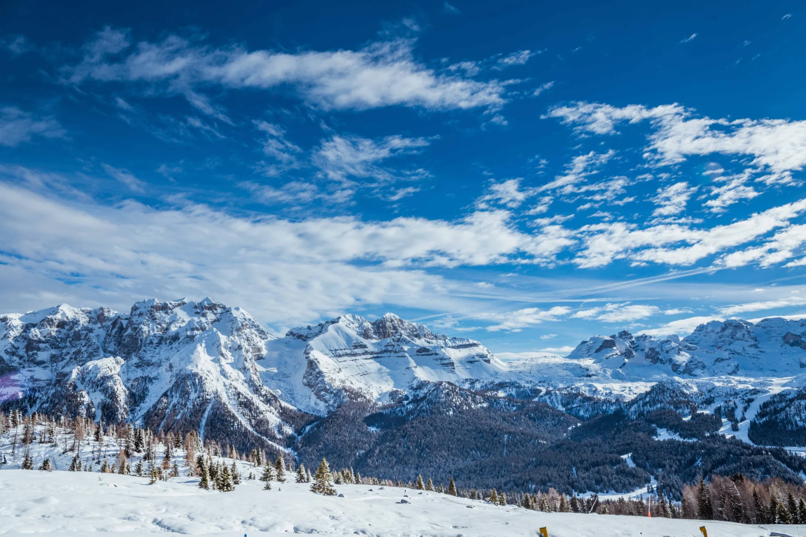 白雪覆盖的群山延伸在蓝天白云下，前景可见积雪山坡与森林。