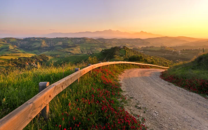 夕阳照耀着起伏的绿色丘陵、远山和穿过花丛的土路。