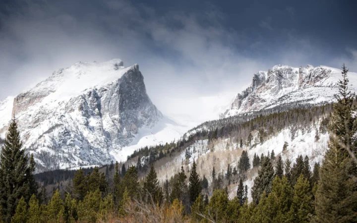 白雪覆盖的山峰耸立在针叶林上方，阴云笼罩着宁静的冬日山谷。