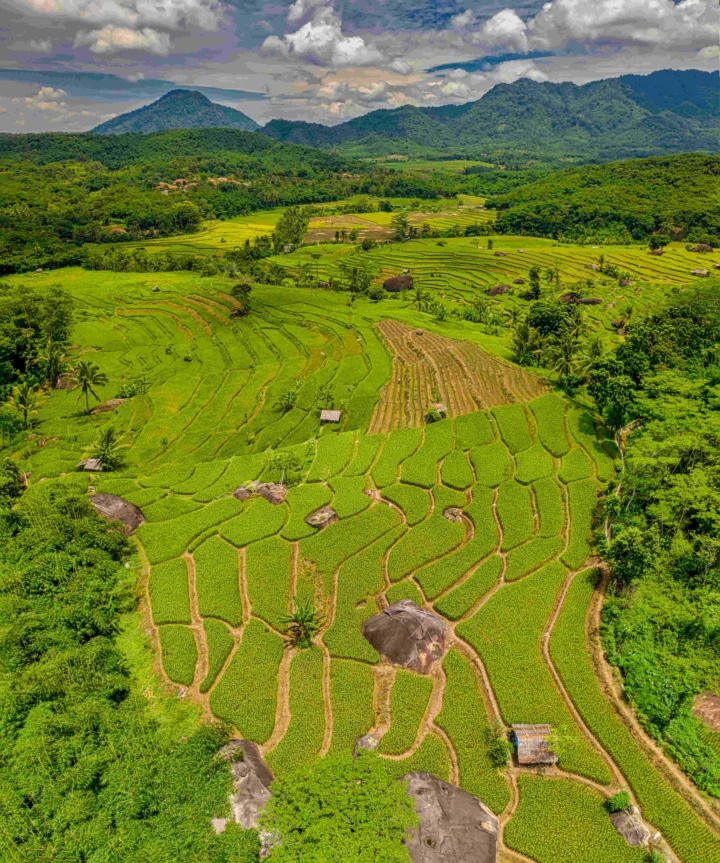 层叠的绿色梯田延伸在山谷中，远处群山起伏，天空飘着大片白云。
