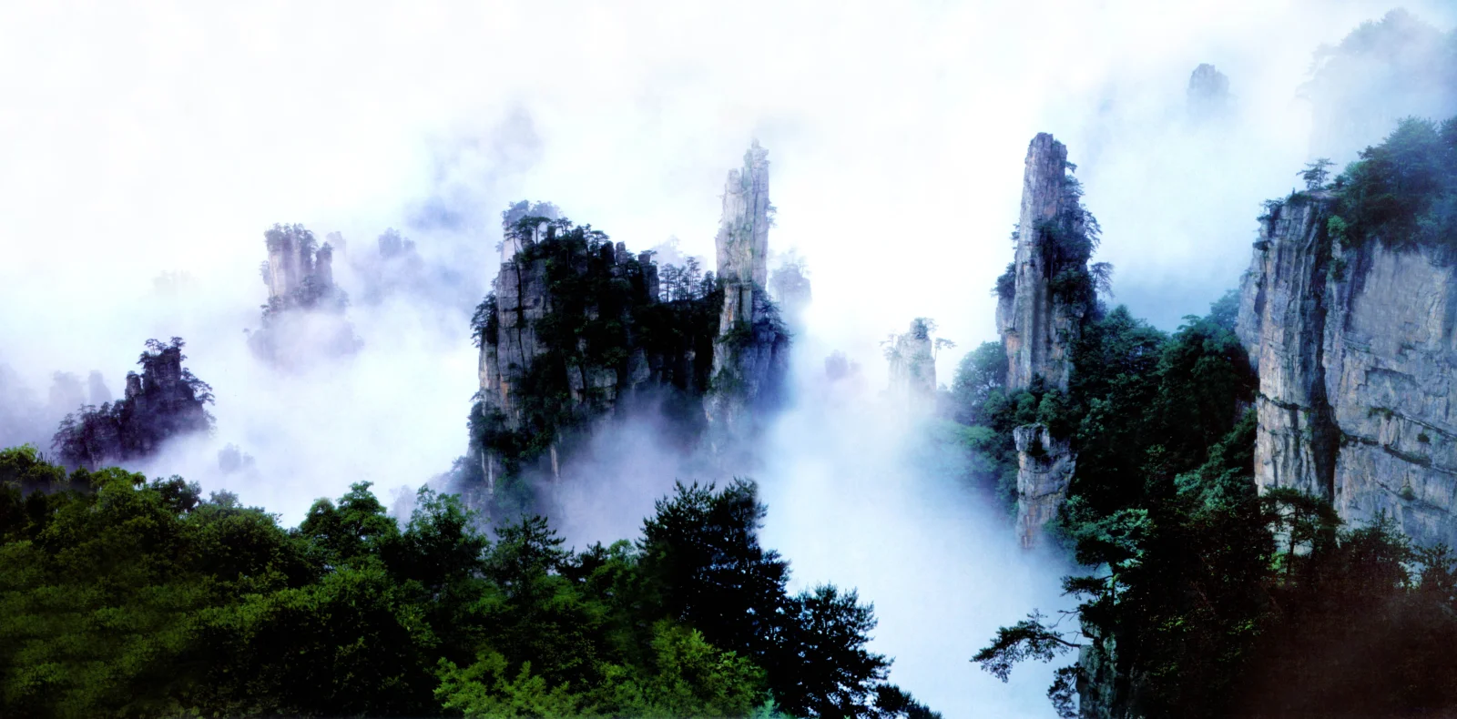 云雾笼罩着陡峭的山峰与茂密森林，构成一幅宁静的自然景观。