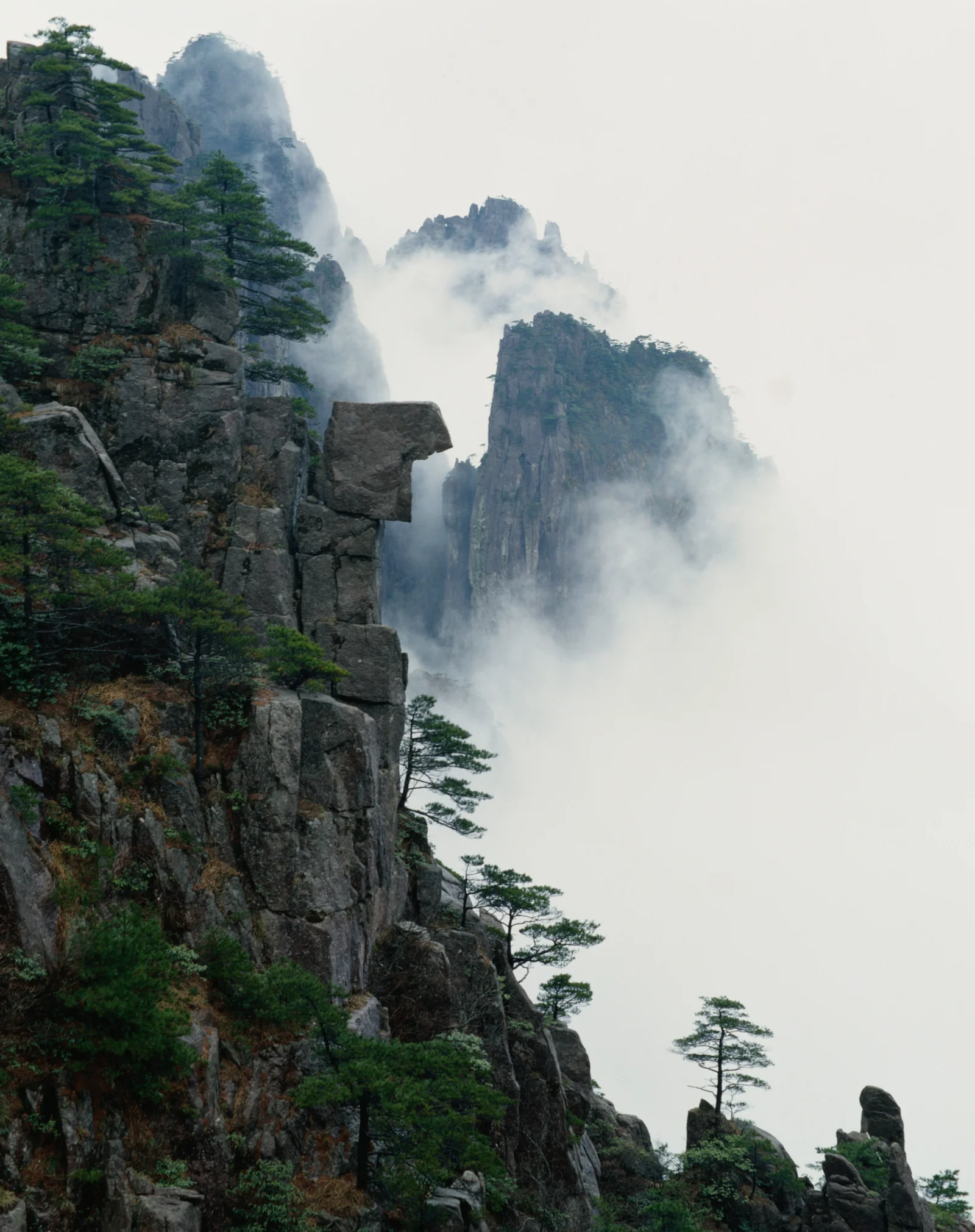 陡峭的岩壁、苍松与云雾缭绕的山峰构成一幅壮丽的山景。