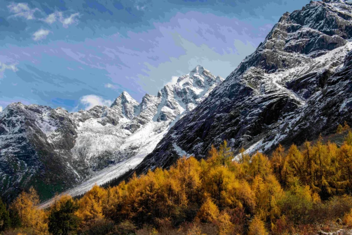 积雪覆盖的高山耸立在金黄色森林和蓝天下。