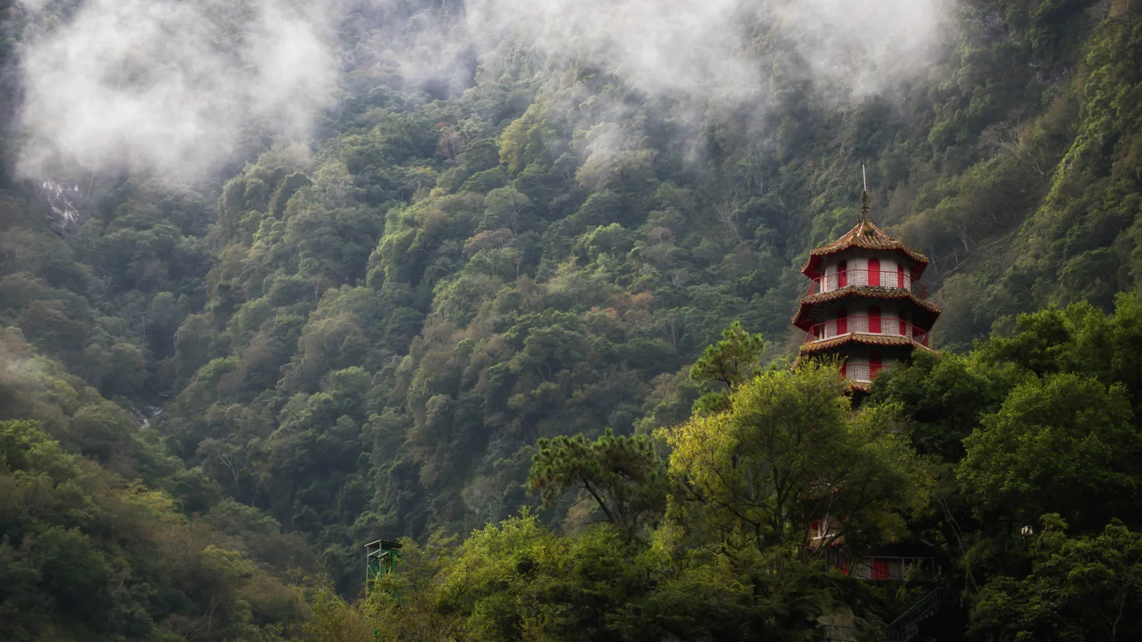 茂密的山林笼罩在雾气中，右侧树木间矗立着一座多层宝塔。