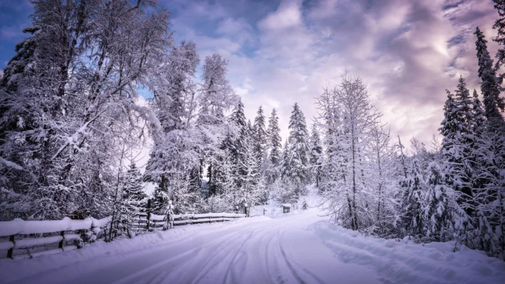 积雪覆盖的森林道路穿过冬日树林，天空呈现柔和的紫色云层。