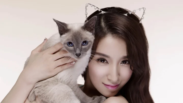 一名女子戴着猫耳发饰并抱着一只灰白色猫咪，背景为浅色。