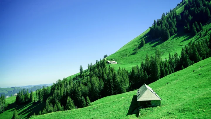 翠绿的山坡、茂密的针叶林和一座小木屋构成宁静的山地景色。