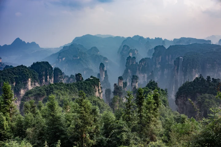 云雾笼罩的群山与石柱耸立在茂密森林之间。
