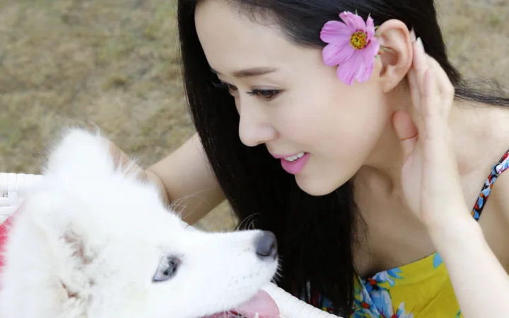 분홍색 꽃을 머리에 꽂은 여성이 흰 강아지를 바라보고 있습니다.