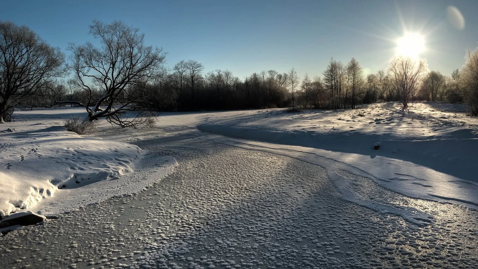 阳光照耀着被积雪覆盖的河道、岸边裸树和冰雪地面。