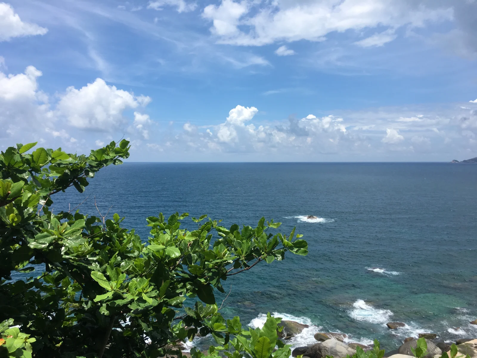 前景绿叶环绕着湛蓝海面，远处海岸线与蓬松白云共同构成开阔的海岸景色。