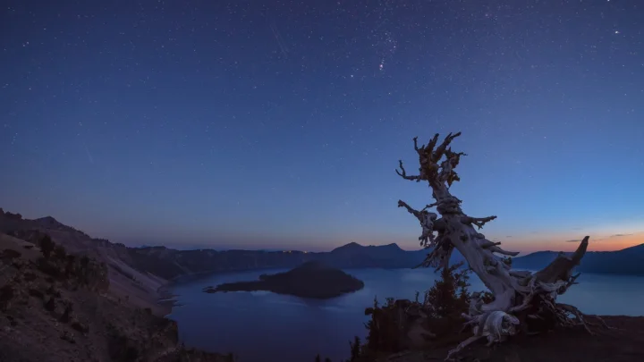 夜空下的湖泊、群山与一株苍劲的枯树构成宁静的自然景观。