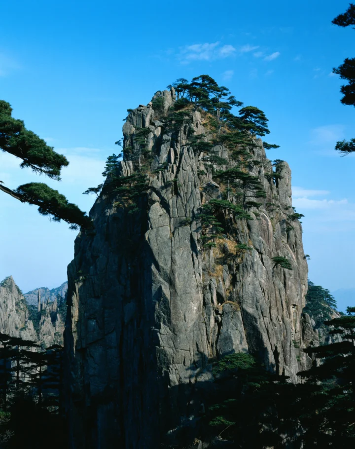 陡峭的岩石山峰和苍翠的松树矗立在晴朗的蓝天下。