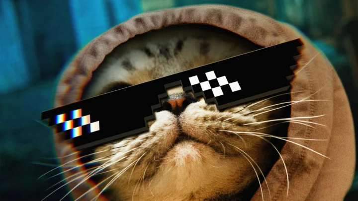 一只猫戴着黑色像素风墨镜，近距离占据画面主体。