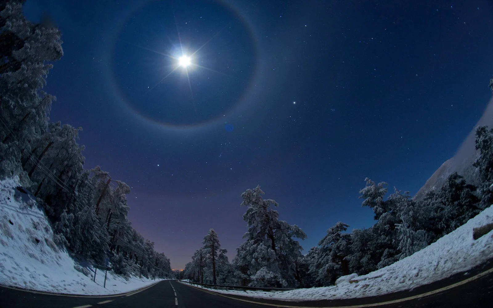 雪に覆われた森林の道路が、月明かりと星空の下で遠くまで続いている。
