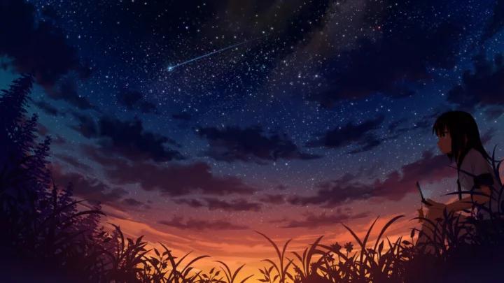 动漫风格的草地剪影映衬着繁星点缀的天空、晚霞和划过的流星，右侧可见一道人物剪影。