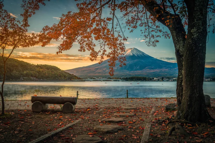 夕阳映照下，富士山耸立在湖泊对岸，前景是铺满落叶的湖畔与秋树。