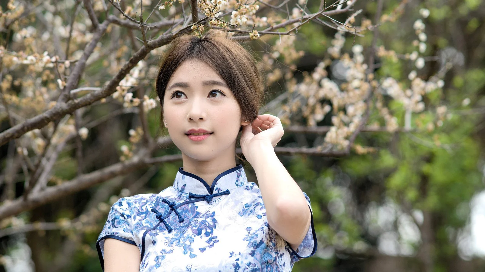 파란색과 흰색 꽃무늬 치파오를 입은 여성이 꽃이 핀 나뭇가지 앞에 서 있습니다.