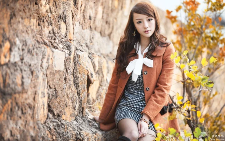 一名成年女子坐在石墙旁，身穿棕色外套和格纹裙，周围点缀着秋日树叶。