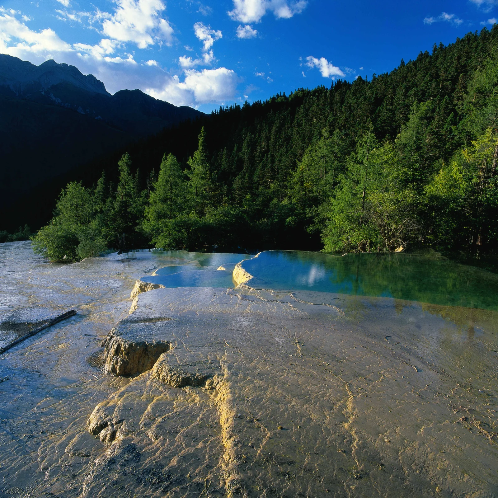 高山、森林与清澈溪流在蓝天白云下构成宁静的自然风景。
