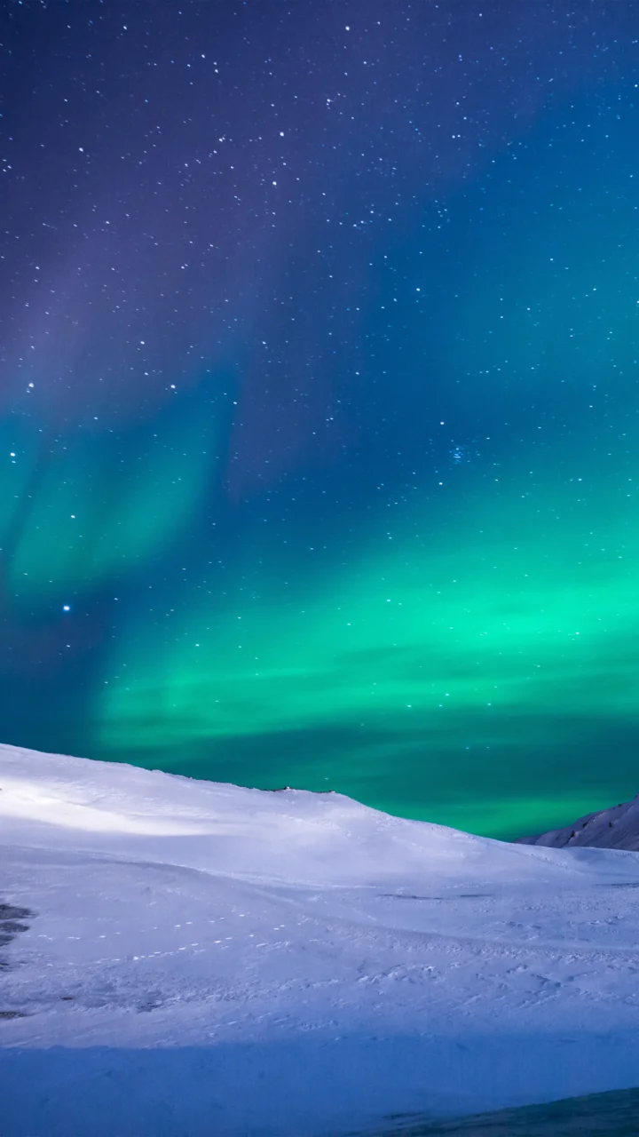 蓝绿色极光在繁星点缀的夜空下照亮了白雪覆盖的旷野。