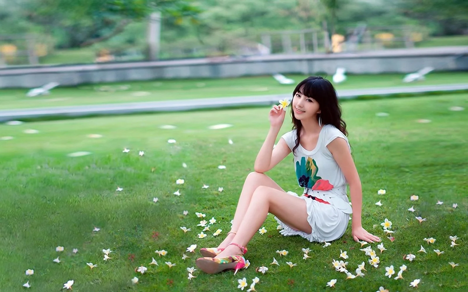 一名女子坐在铺满白色小花的绿色草地上，手持一朵黄色小花。
