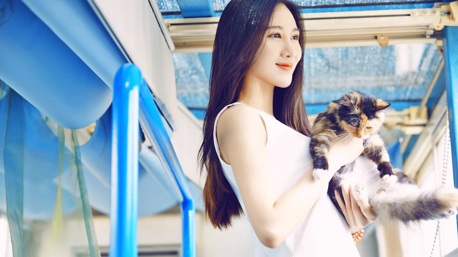 一位成年女性在明亮的车厢内抱着一只猫。