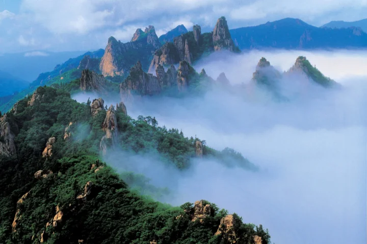群山与森林被层层云雾环绕，展现出宁静壮丽的自然风光。