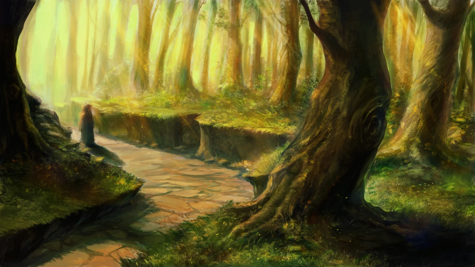 阳光穿过茂密树林，照亮蜿蜒的林间小径。