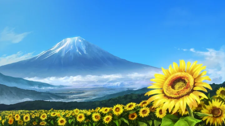 蓝天下，积雪覆盖的山峰矗立在一片明亮的向日葵田后方。