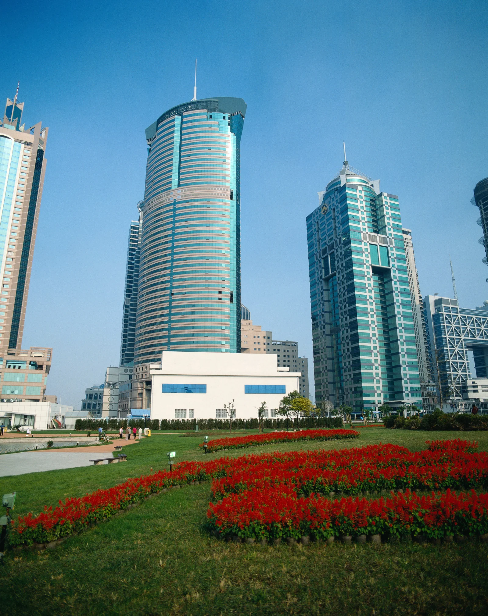 蓝天下的现代城市高楼矗立在大片红色花坛和绿色草地旁。
