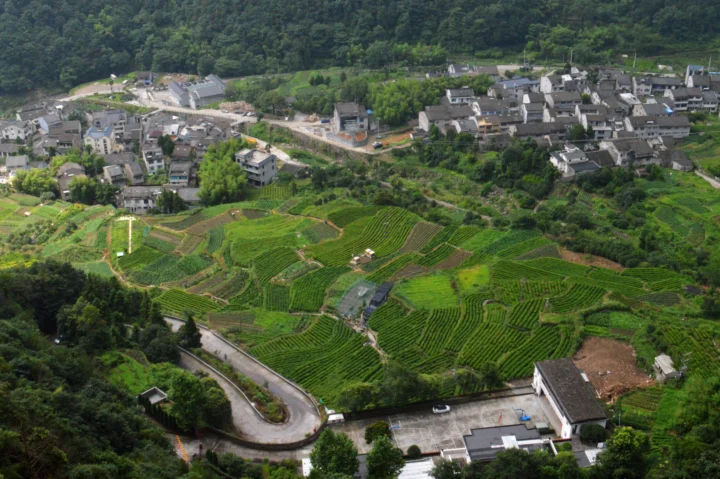山坡上的层叠农田、绿色森林和村落组成了一幅俯瞰风景。