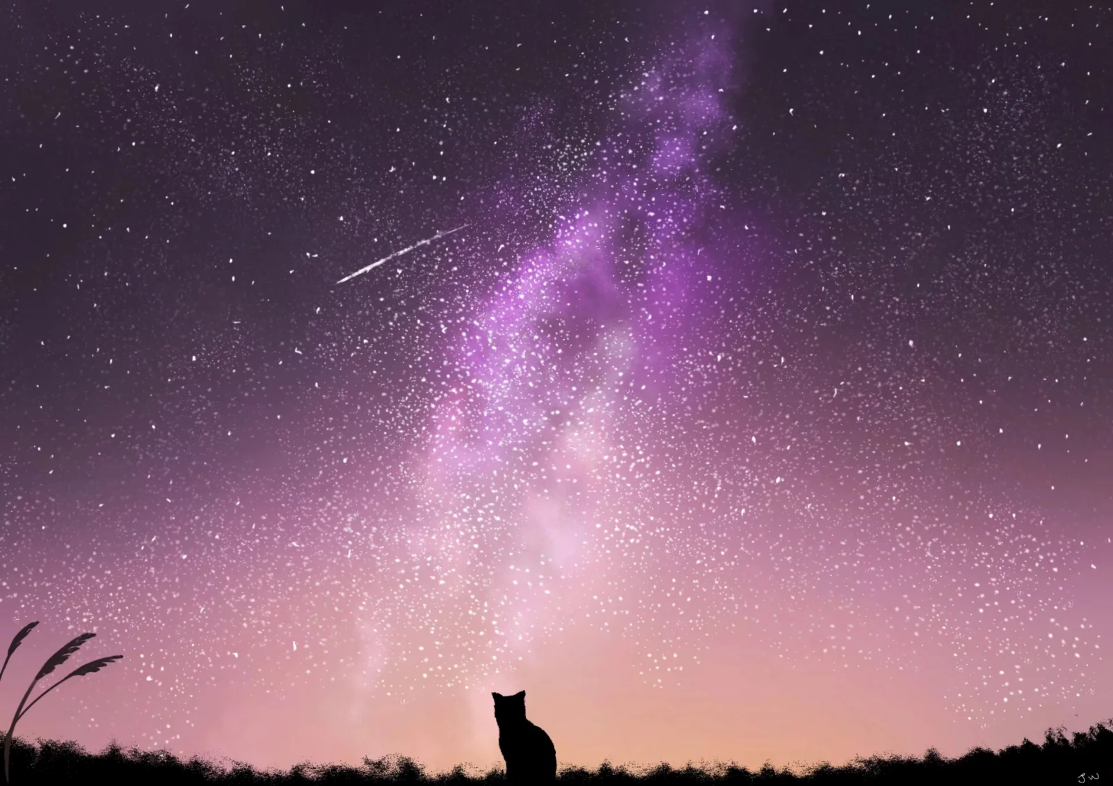 ピンクと紫色の天の川が星空に広がり、地平線には猫のシルエットが見える。