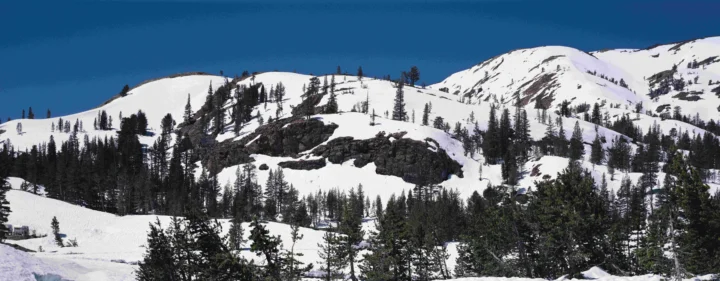 蓝天下的积雪山脉与松树林构成开阔的冬季自然景观。