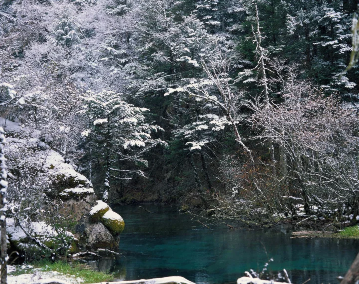 积雪覆盖的森林环绕着一泓清澈幽蓝的溪流。