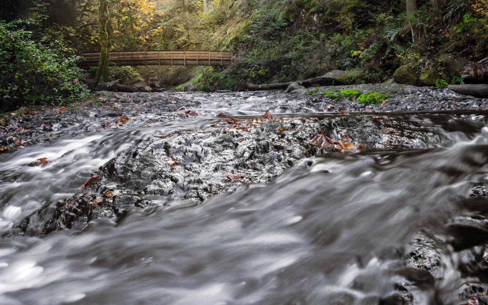 A forest stream flows over rocks with a wooden bridge crossing in the distance.