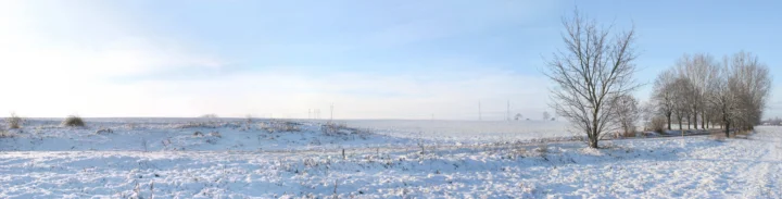 一片覆雪的开阔田野延伸至远方，右侧排列着光秃的树木，天空晴朗明亮。